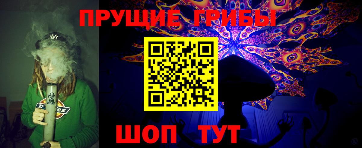 Ростов Великий  Псилоцибиновые грибы Magic Shrooms  Вход с VPN 